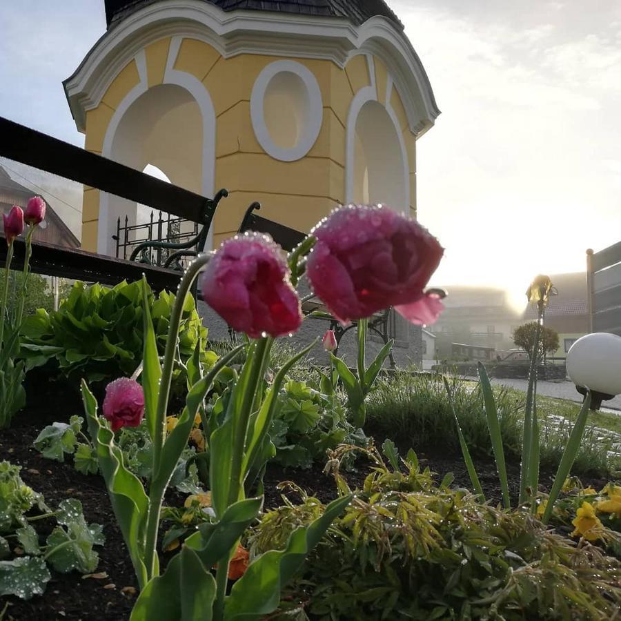 Gasthof Zur Schmiede Берґ ім Драуталь Екстер'єр фото